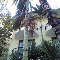 фото из отзыва ID 2127091