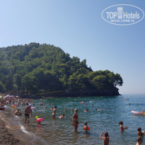 фото из отзыва ID 2127092