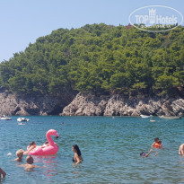 фото из отзыва ID 2127092