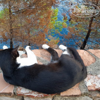 фото из отзыва ID 2127092