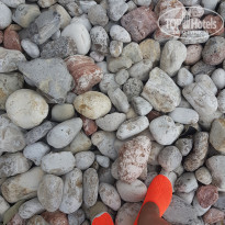 фото из отзыва ID 2127092