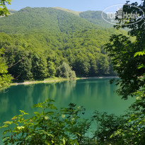 фото из отзыва ID 2127092