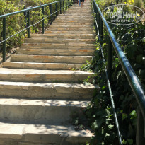 фото из отзыва ID 2127269