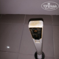 фото из отзыва ID 2127409