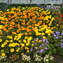 фото из отзыва ID 2127404