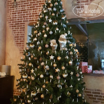 фото из отзыва ID 2127423