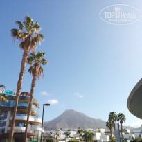 фото из отзыва ID 2127432