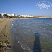 фото из отзыва ID 2127440