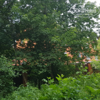 фото из отзыва ID 2127458