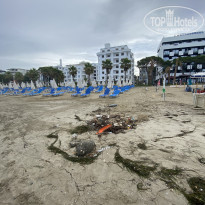 фото из отзыва ID 2127496