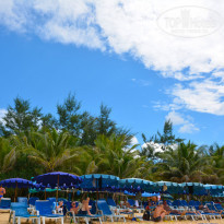 фото из отзыва ID 2127606