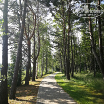 фото из отзыва ID 2127827