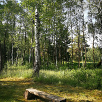 фото из отзыва ID 2127827