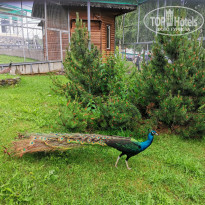 фото из отзыва ID 2127833