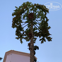 фото из отзыва ID 2127881