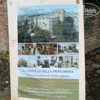 фото из отзыва ID 2127968