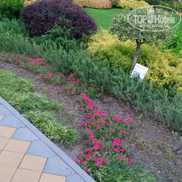 фото из отзыва ID 2128006