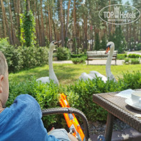 фото из отзыва ID 2128073