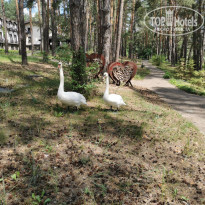 фото из отзыва ID 2128073