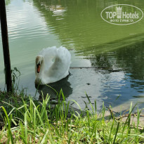 фото из отзыва ID 2128073