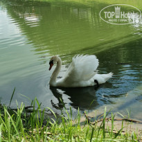 фото из отзыва ID 2128073