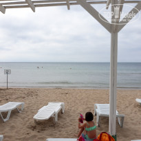 фото из отзыва ID 2128228