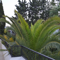 фото из отзыва ID 2128297