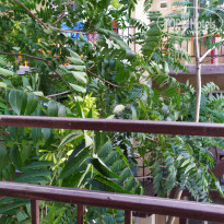 фото из отзыва ID 2128276