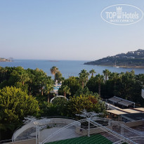 фото из отзыва ID 2128384