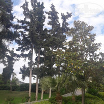 фото из отзыва ID 2128424