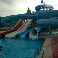 фото из отзыва ID 2128433