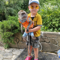 фото из отзыва ID 2128441