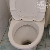 фото из отзыва ID 2128453