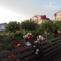 фото из отзыва ID 2128358