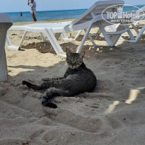 фото из отзыва ID 2128553