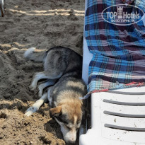 фото из отзыва ID 2128553