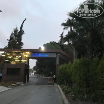 фото из отзыва ID 2128619