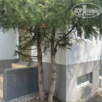 фото из отзыва ID 2128647