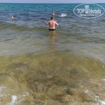 фото из отзыва ID 2128658