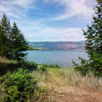 фото из отзыва ID 2128674