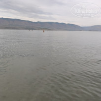 фото из отзыва ID 2128674