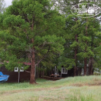 фото из отзыва ID 2128674