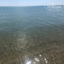 фото из отзыва ID 2128738