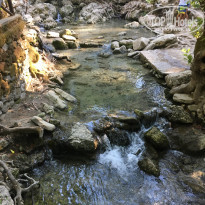 фото из отзыва ID 2128694