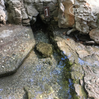 фото из отзыва ID 2128694