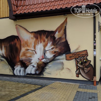 фото из отзыва ID 2128849