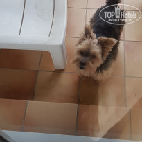 фото из отзыва ID 2128911