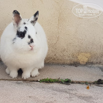 фото из отзыва ID 2128911