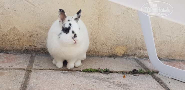 Hotel de la Madeleine