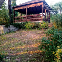 фото из отзыва ID 2128958